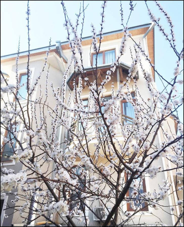 Aia Hotel Tbilisi Esterno foto
